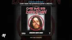 Bandgang Lonnie Bands - Bomb A** Kitty (feat. ShredGang Horse)